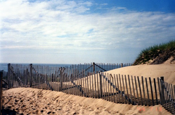 Dune