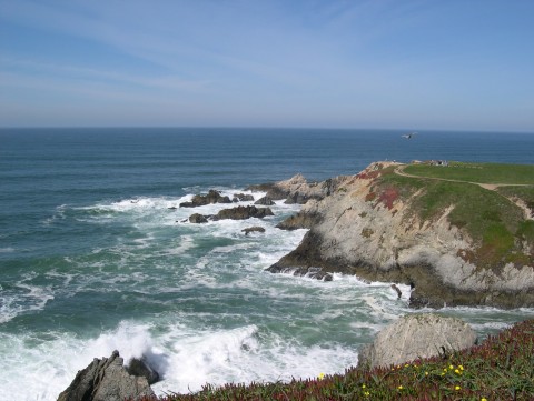 California Dreamin'