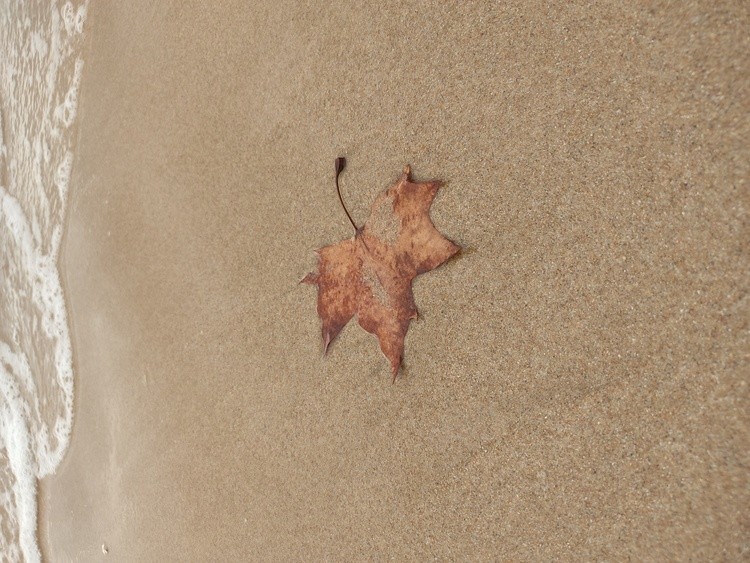 Waiting to be swept away