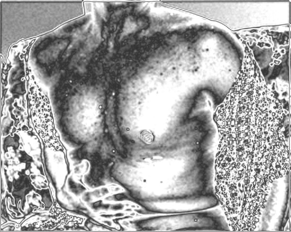 Bare Torso