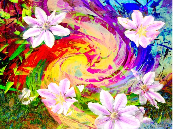 Spring Divine
