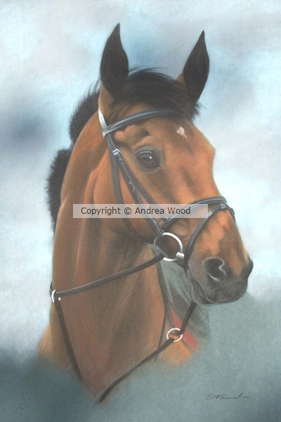 Bay horse