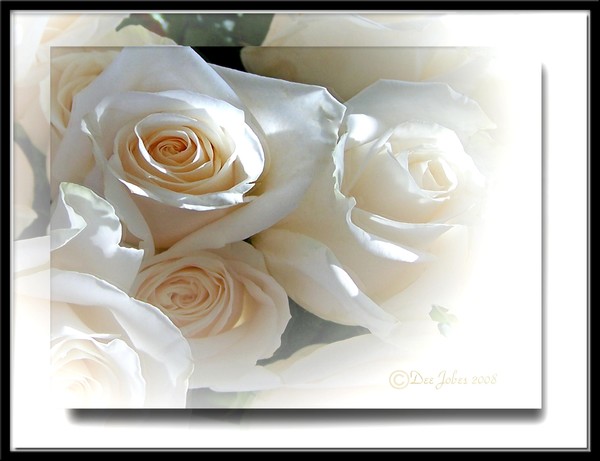 Illuminated Purity
