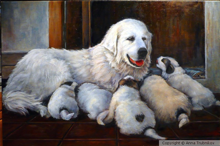 Puppy Love