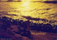 Sea Dreamer