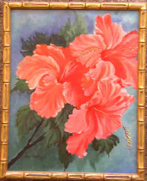 Hibiscus