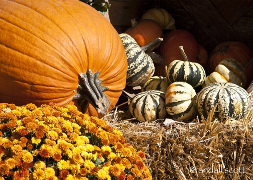HAPPY THANKSGIVING ARTWANTED