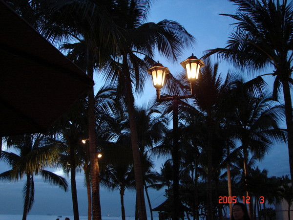 by the light of the night