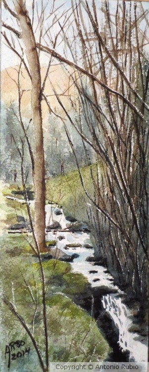 Ruiseau Kerbach (Vosges)