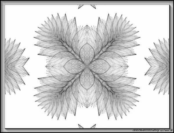 LOTUS BLOSSOM