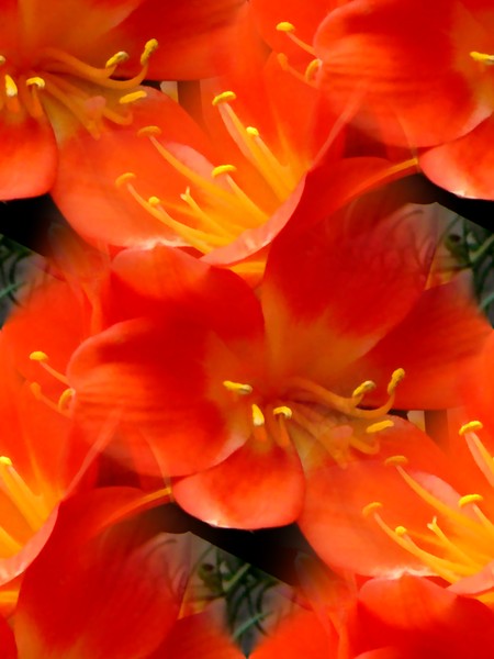Bright Colors (Four)