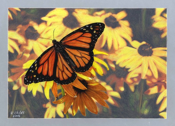 The Flight of the Monarch