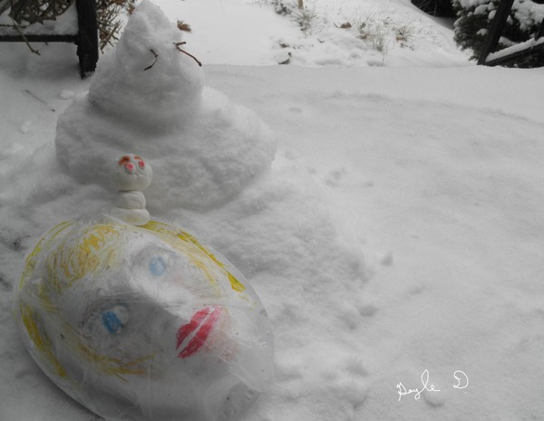 snow day in ny