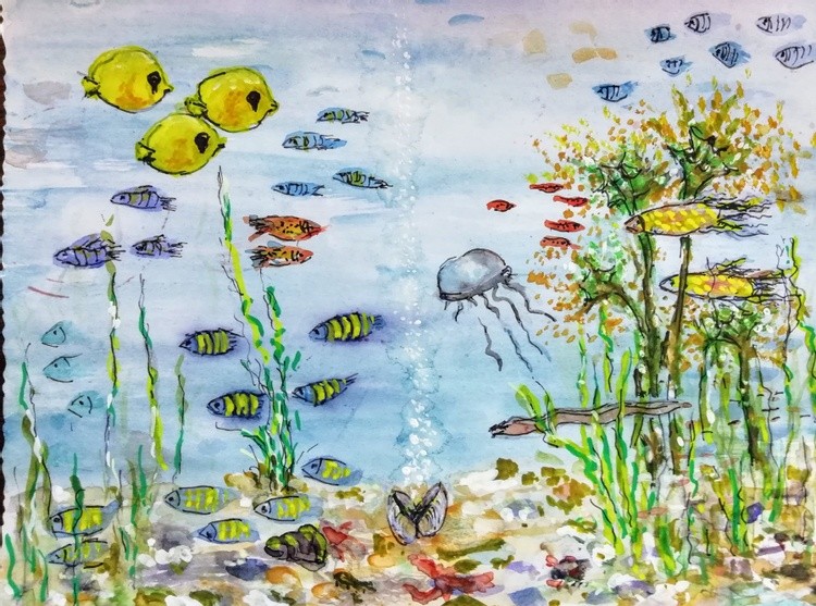 Aquarium
