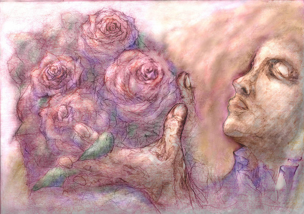rose