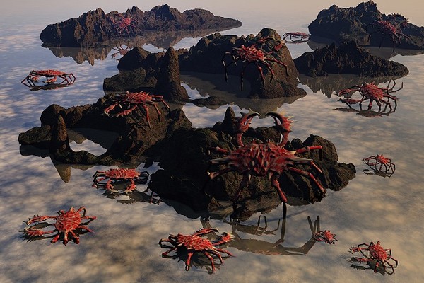 Island Crab