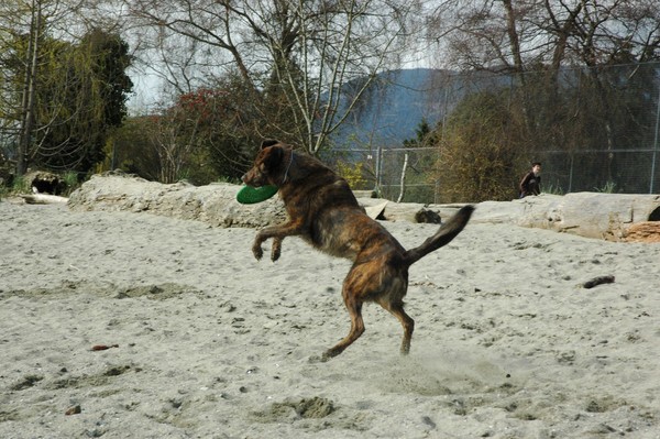 nice catch