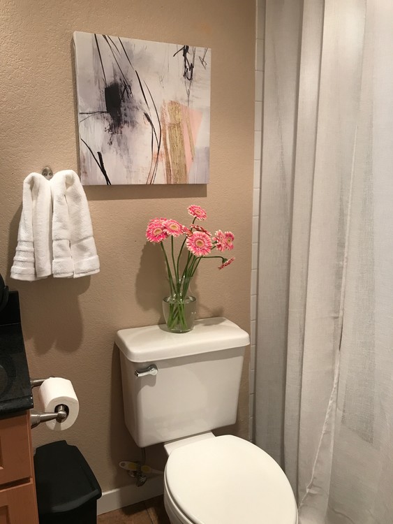 Still Life with Toilet
