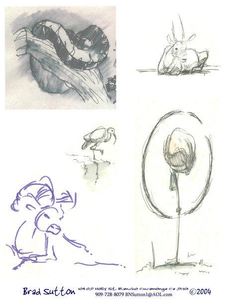 Animal Drawings