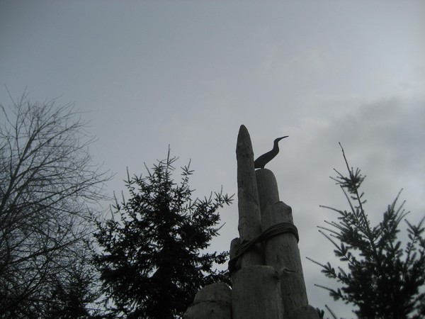 Bird