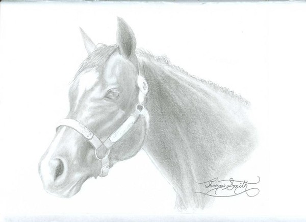Linda's Horse