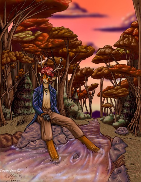 Amilu's forest