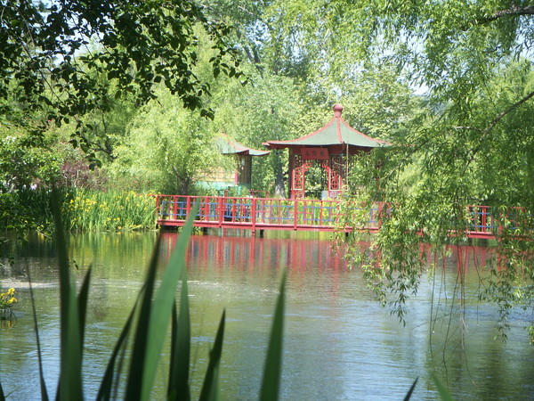 Park with Bridge