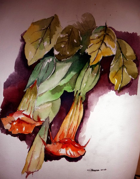 Summer Flowers