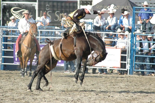 Buckin' Bronco 48