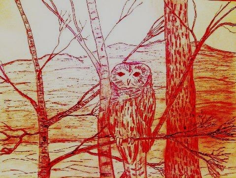 Red Owl