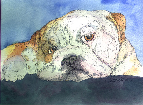 Lonely Bulldog