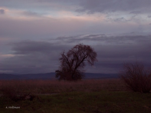 Before the Storm