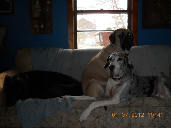 3 On A Couch, Incredible !!