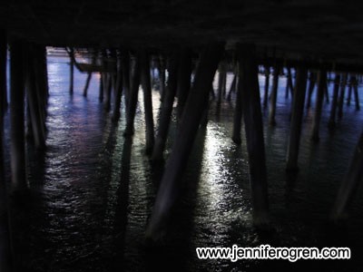 under the santa monica pier