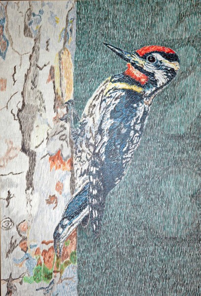 Woodpecker