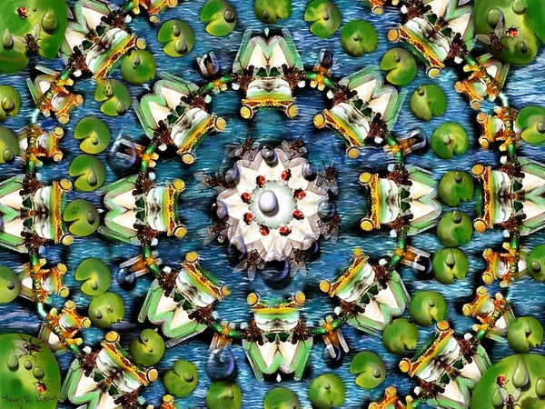 frogs kalidiscope fun