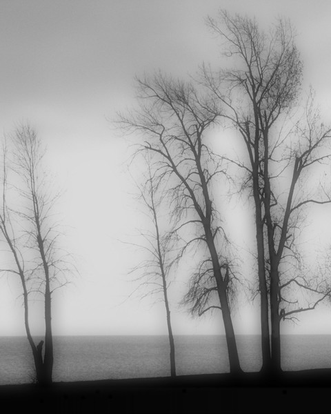 Sterling State Park #2