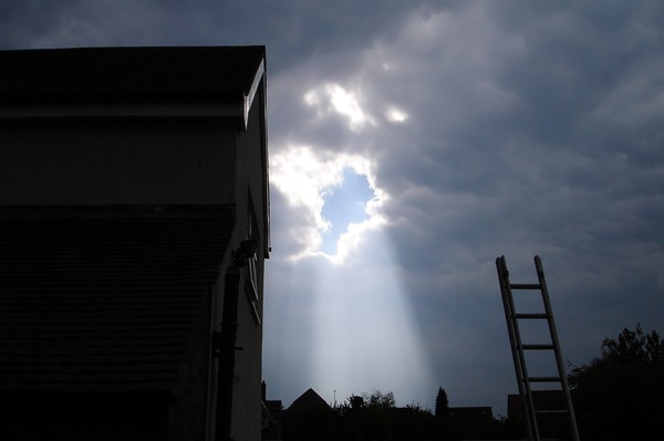 THE LADDER AND THE LIGHT