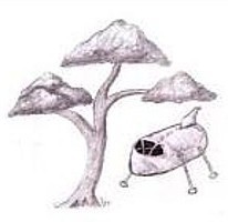 Tree & Spacecraft
