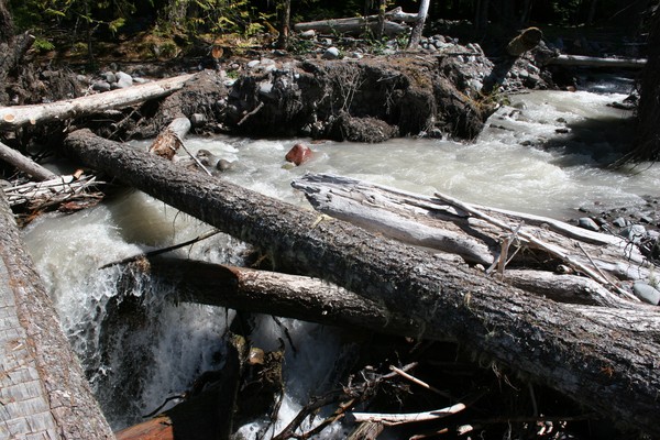 The Mowich River
