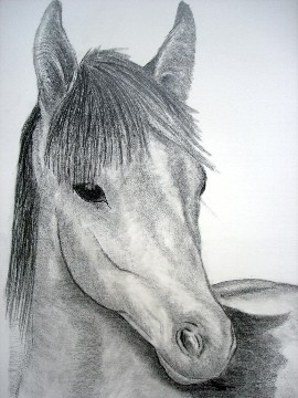 horse head