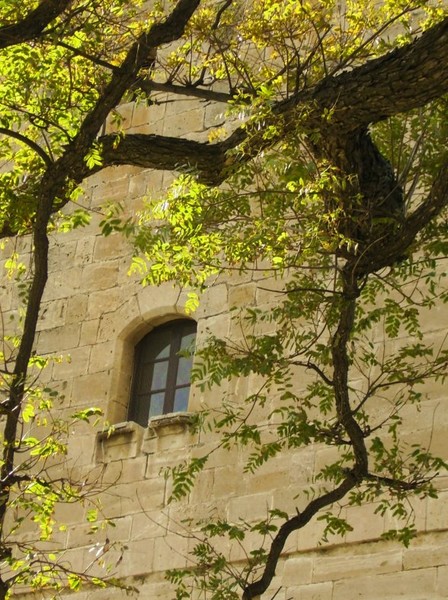 Kolossi window