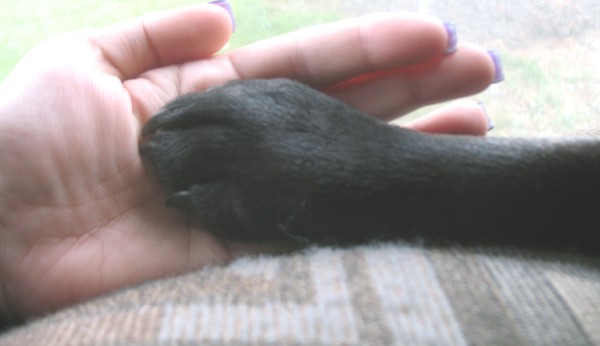 Best friends