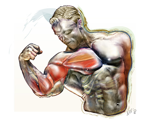 Biceptual