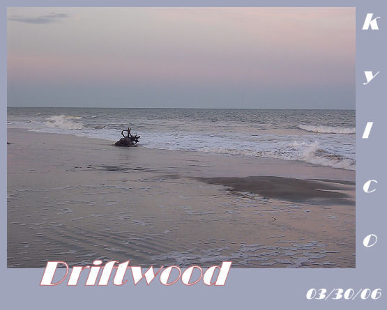 Driftwood