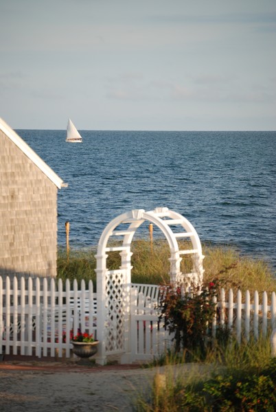 Cape Summer