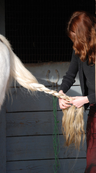Grooming