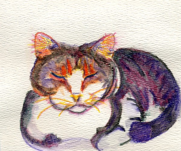 Big Fat Calico Cat