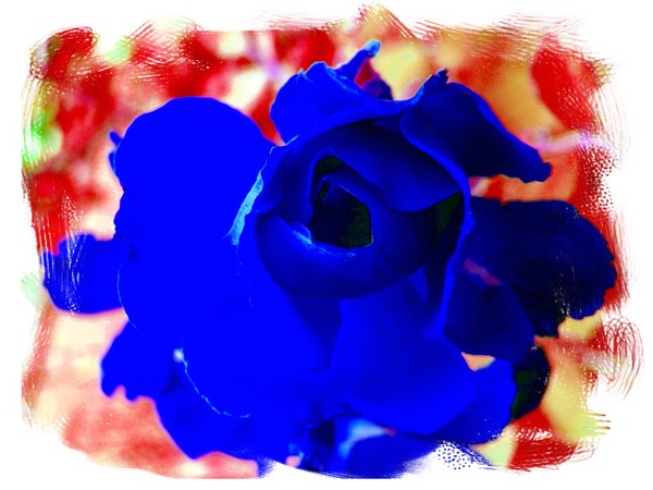 Valentine Blues