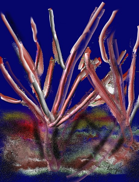 Red Twigs - Coral